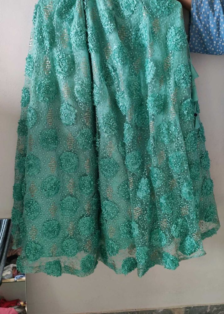Embroidered Lehenga Skirt