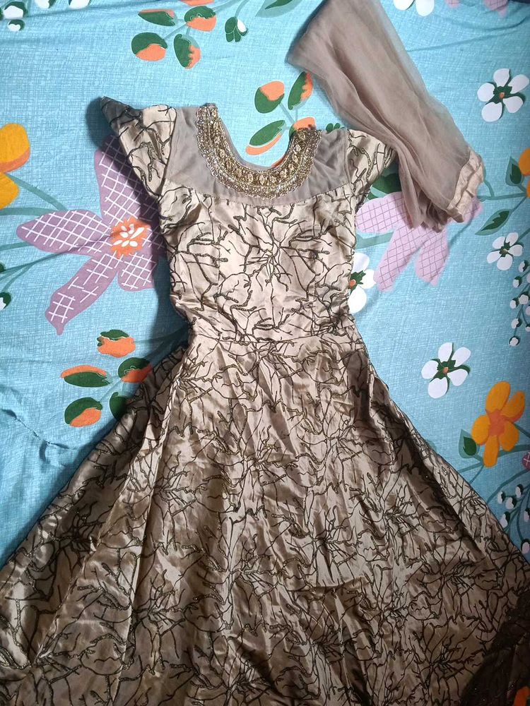 Elegant Ethnic  gowns