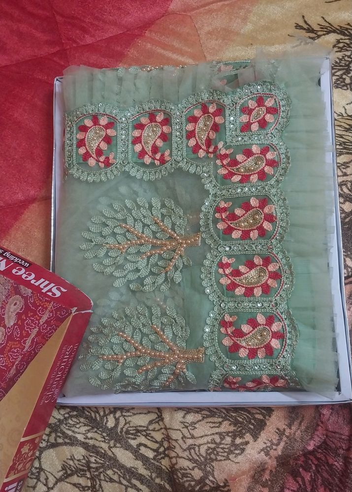 Beautiful Heavy Saree Net