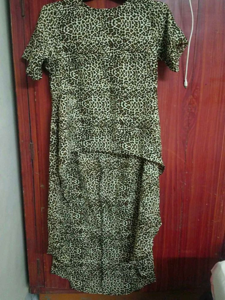 Animal Print Dress