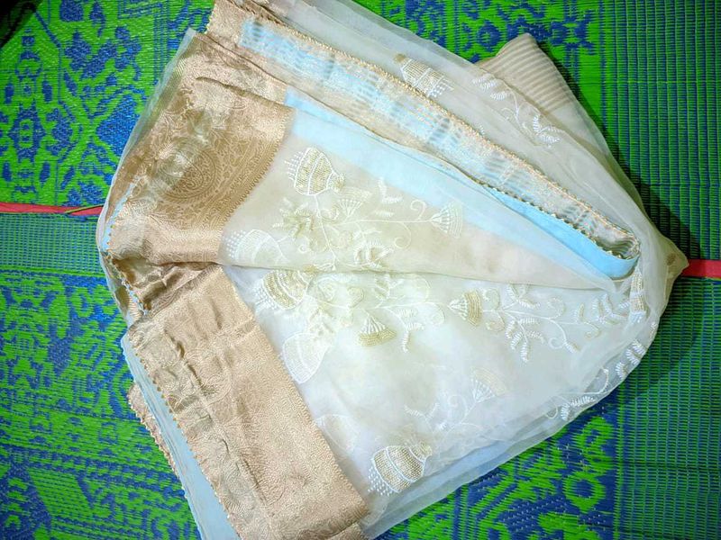 Perfect Organza Saree