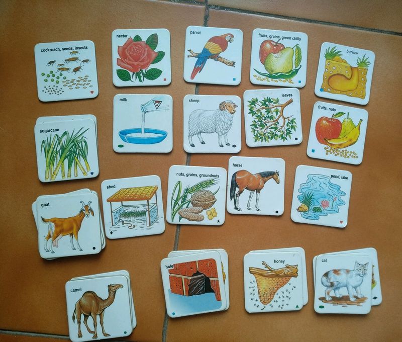 Learning Cards 30 Card