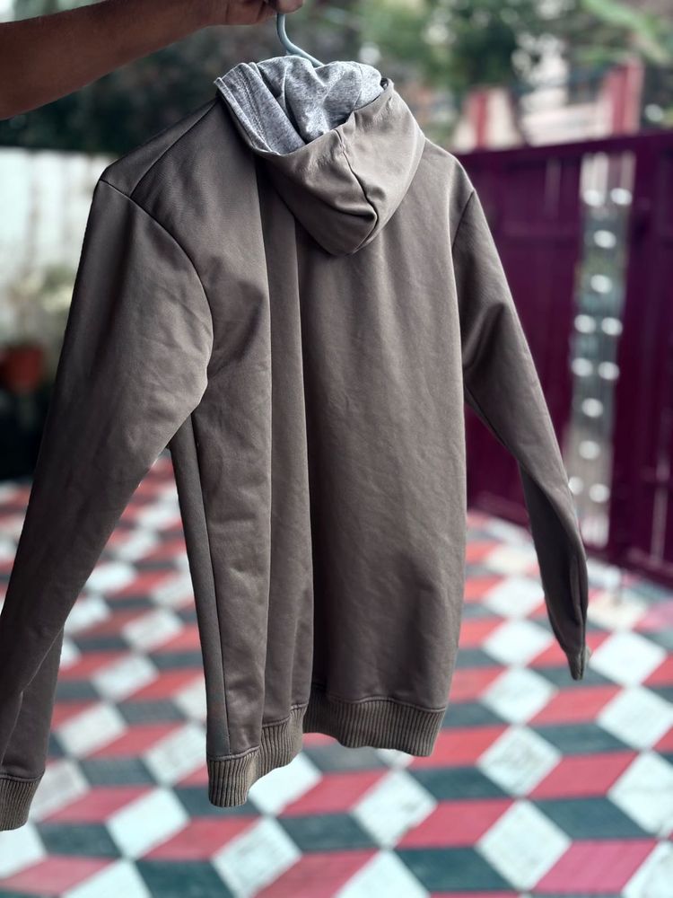 POLO Hoodie Olive
