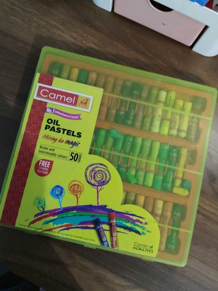 Camel Oil Pastels - 50 Shades