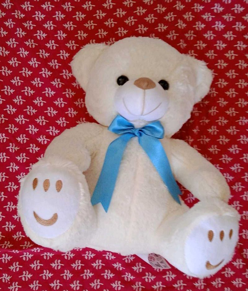 Soft Teddybear Toy