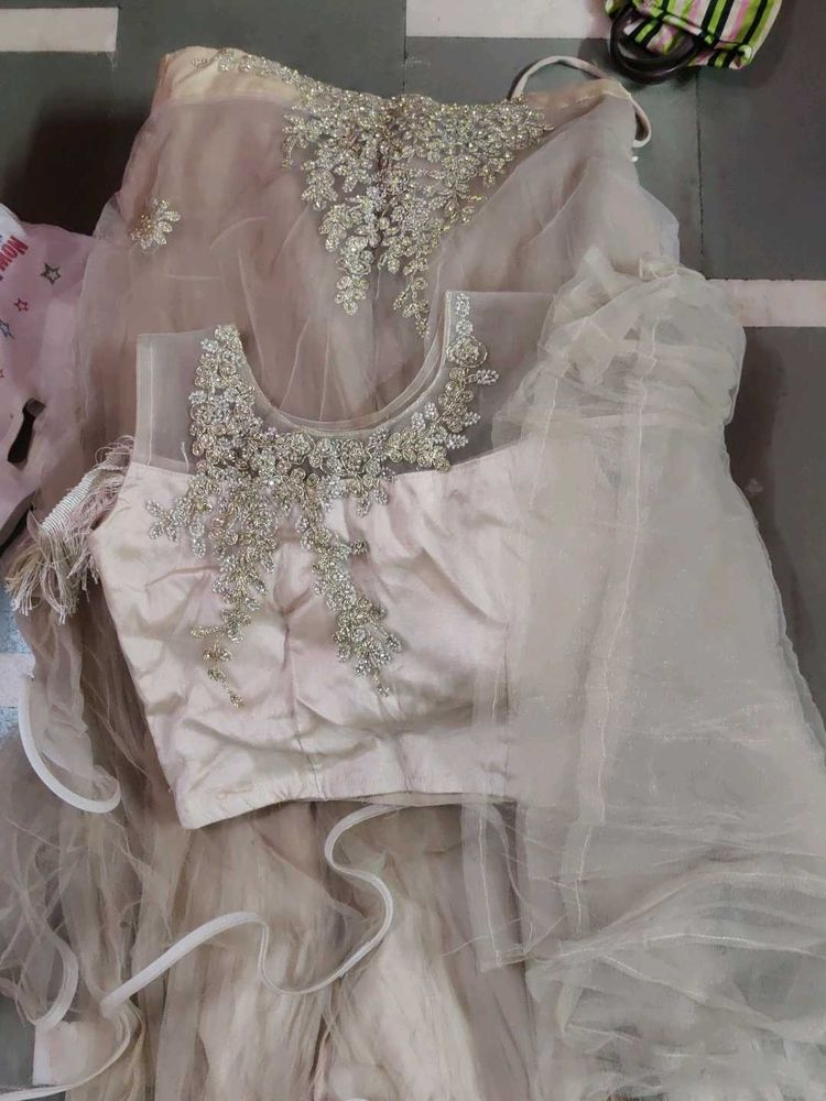 Elegant Embellished Lehenga Choli