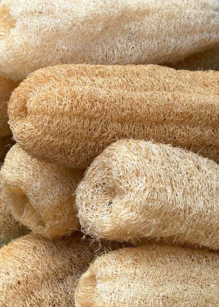 Brand-New Natural Loofah