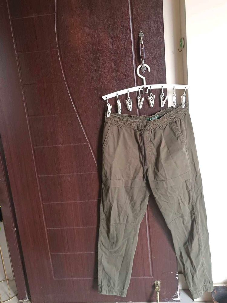 Casual Olive Pants