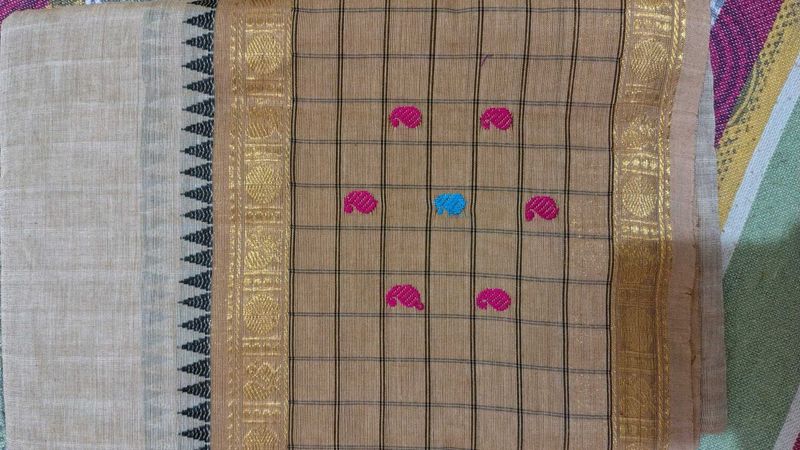 Elegant Checked Saree
