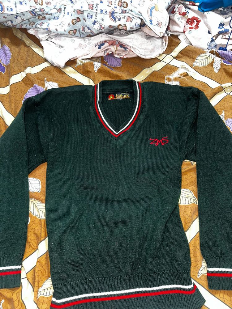 Green V-Neck Sweater