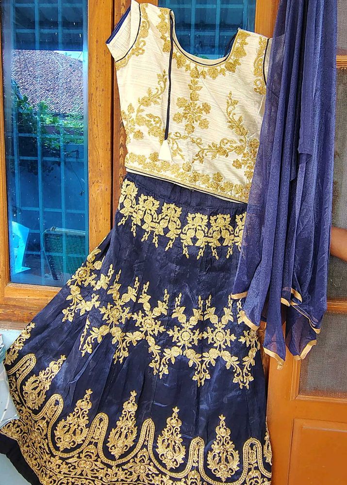 Elegant Lehenga Choli