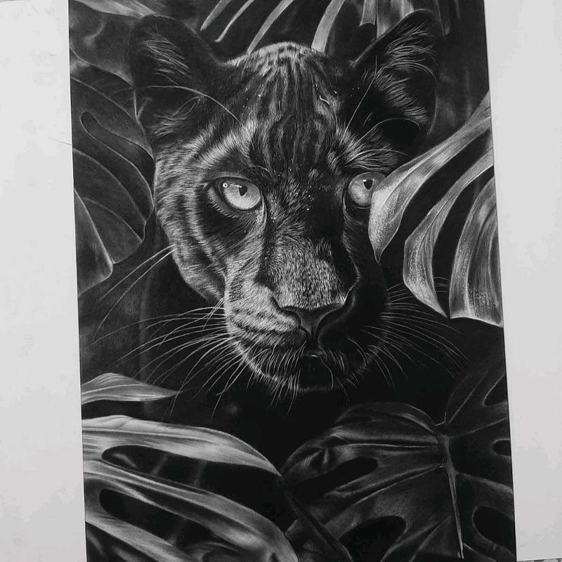 Handmade Drawing  Of Wildlife Leapord.