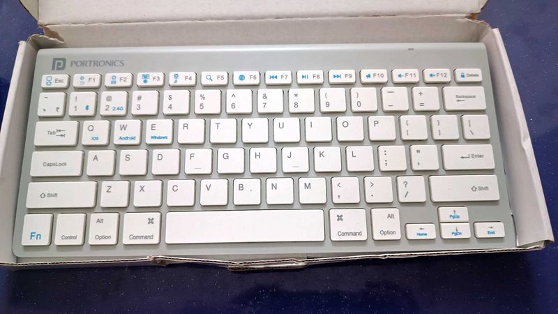 Portronics Keyboard And Dell Mouse