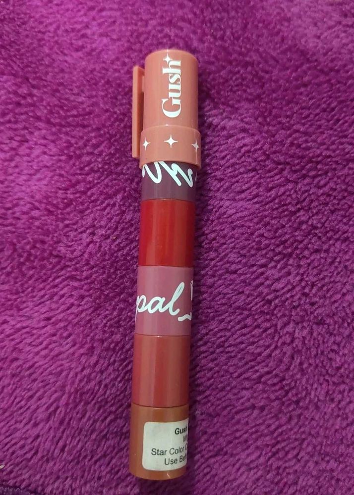 Gush Beauty5 in 1pan pal Lipstick Stack
