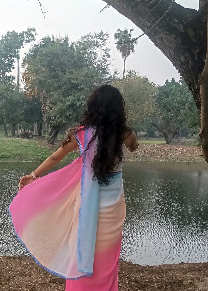 Elegant Ombre Saree
