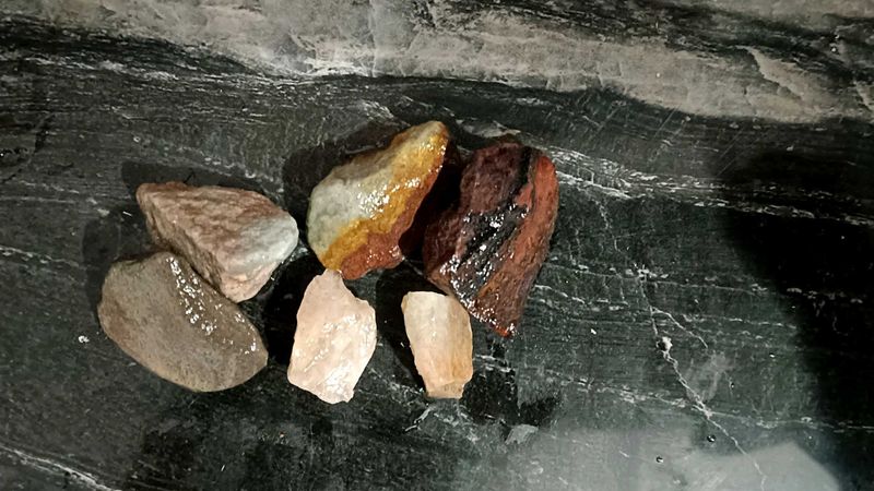 HAND PICKED 🍂Decorative Rocks And Broken Shell
