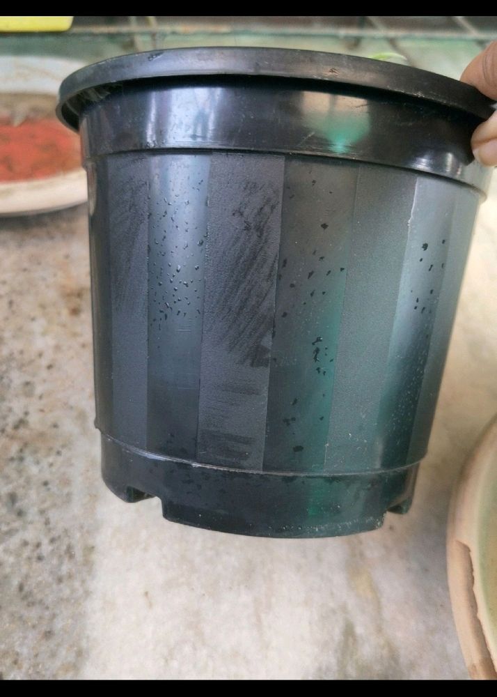 Plastic Pot 5.5 Inch