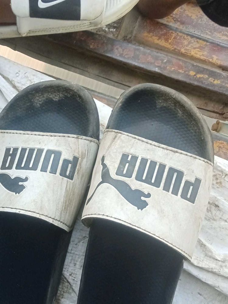 Puma Slides