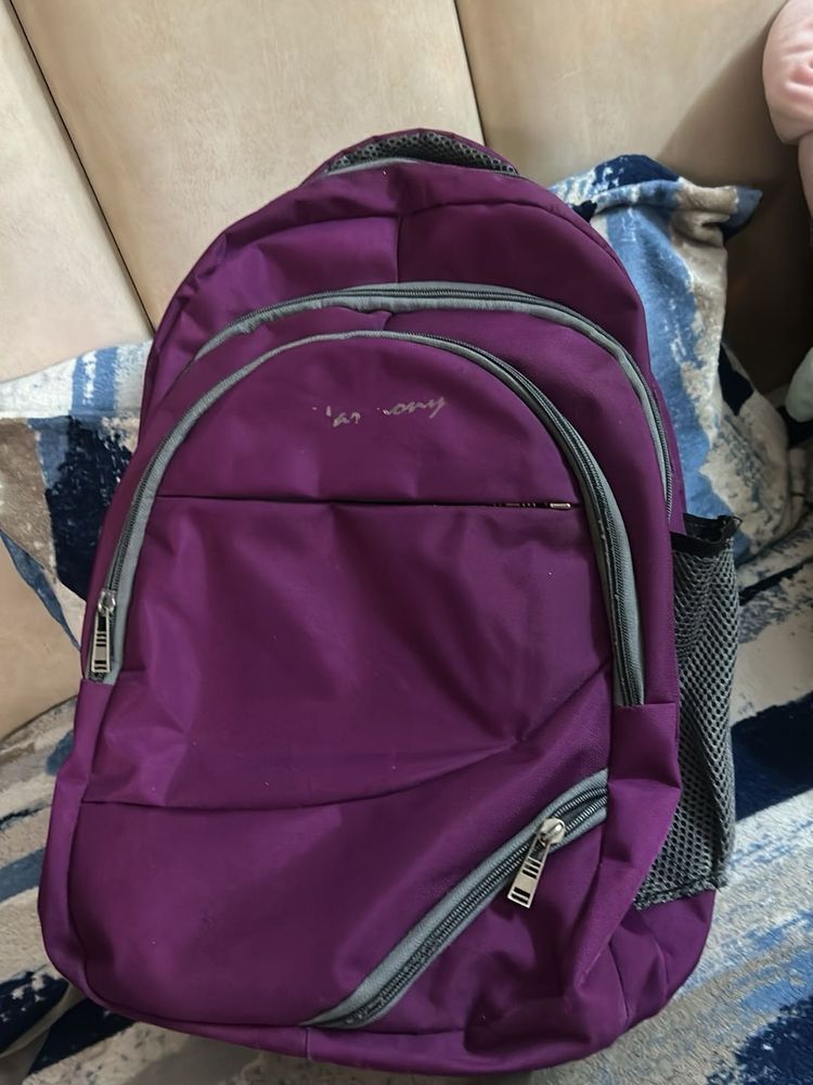 Purple Backpack - Great Condition!