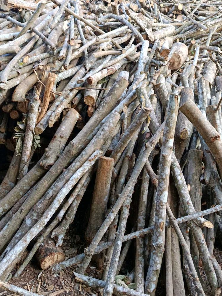 Firewood For Home And Commercial Use