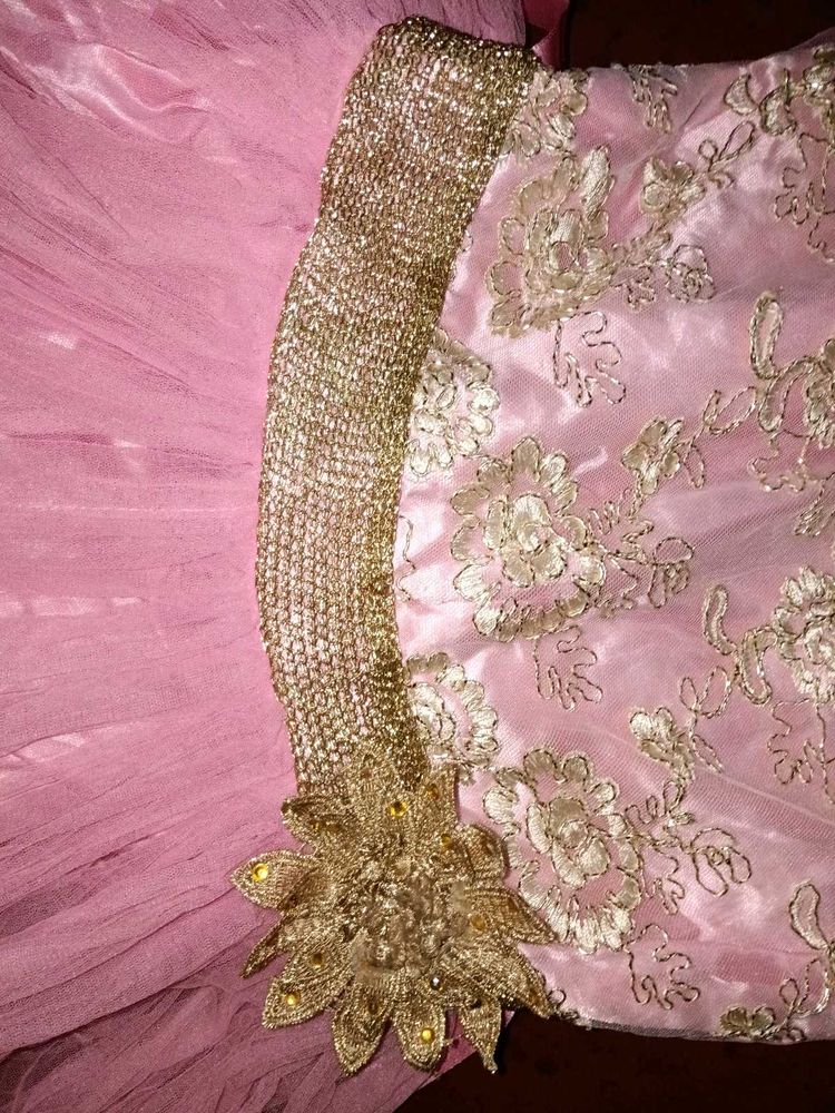 Pink &amp; Gold Embellished Dress