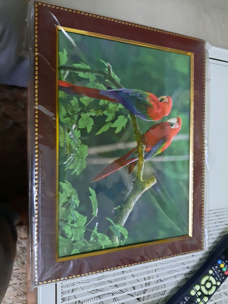 Photo with frame
