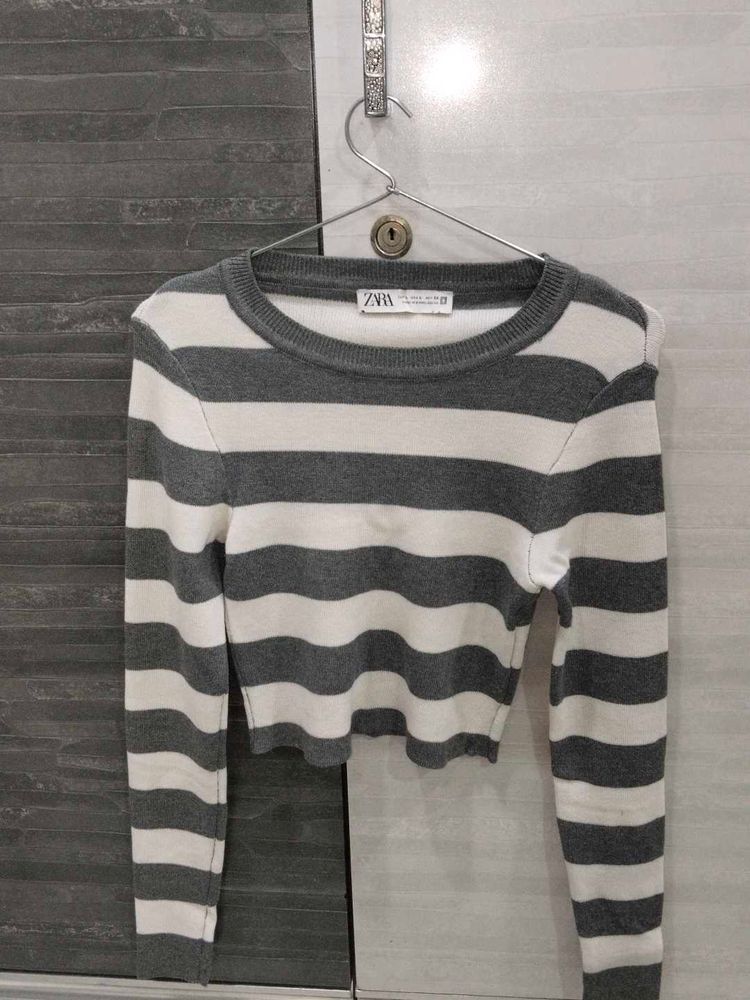Women Striped Round Neck 🩶