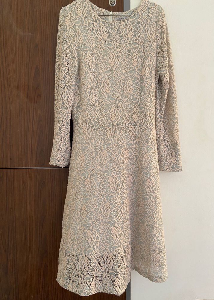 Elegant Lace Dress