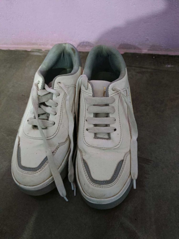 Classy Sneaker