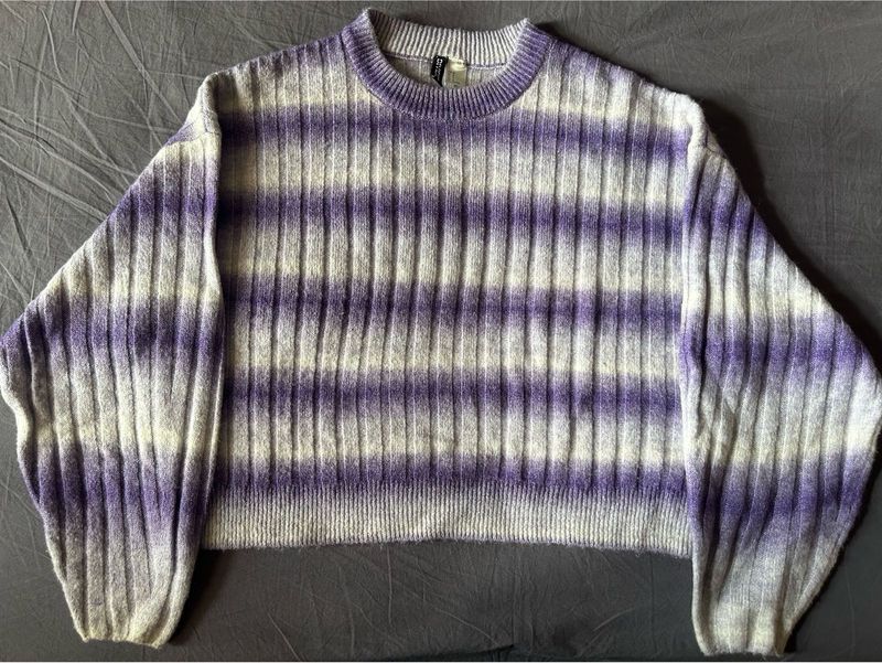 Striped Purple Sweater