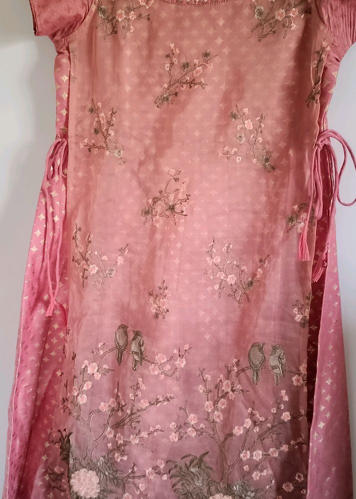 Avaasa Pink Gown Set. No Flaws