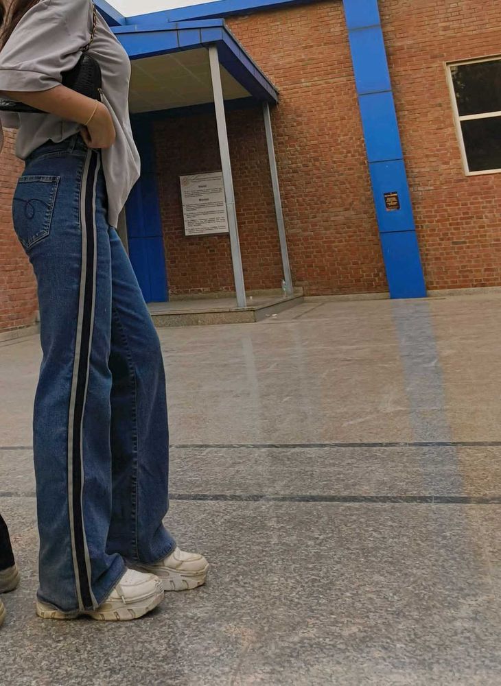 Chic Blue Flared Straight Fit Women Jeans