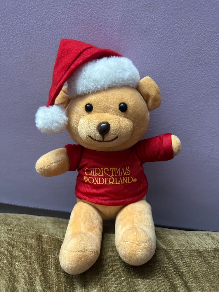 Christmas Bear Plush Toy