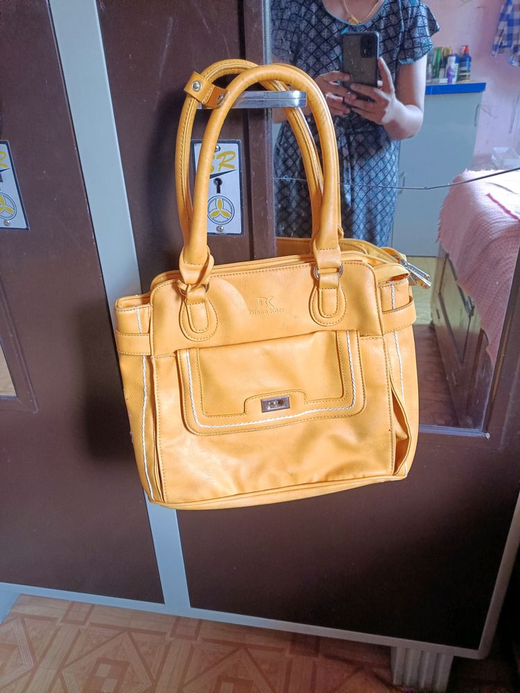 Diana korr Sholder bag