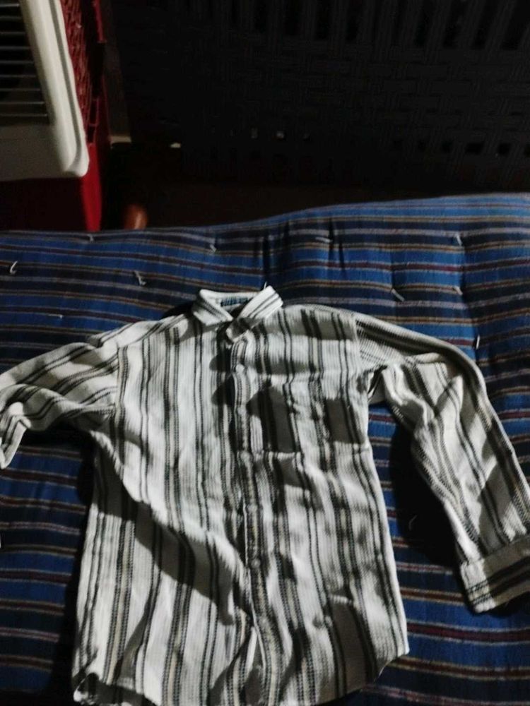 Striped Button-Down Shirt