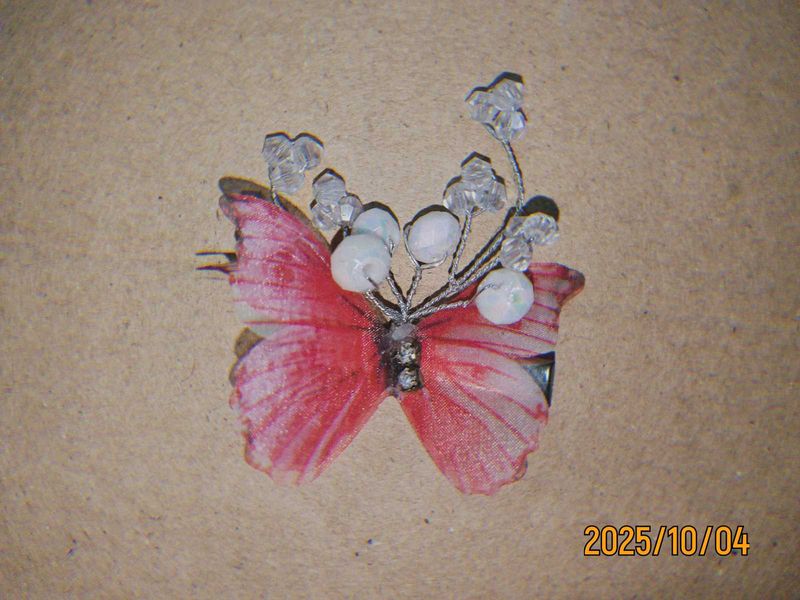 Butterfly Hair Clip ( Combo )