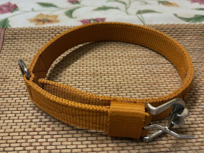 Dog Collar