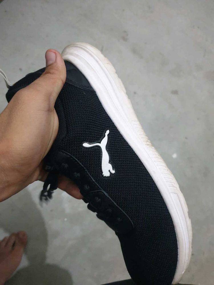 Puma Shoe (OG) Uk 7 (Cash ONLY)