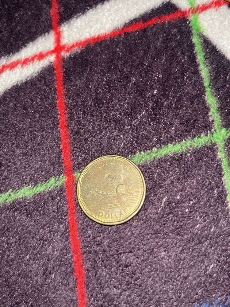 Canadian Loonie Dollar Coin