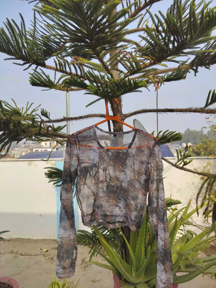 Printed Sheer Crop Top