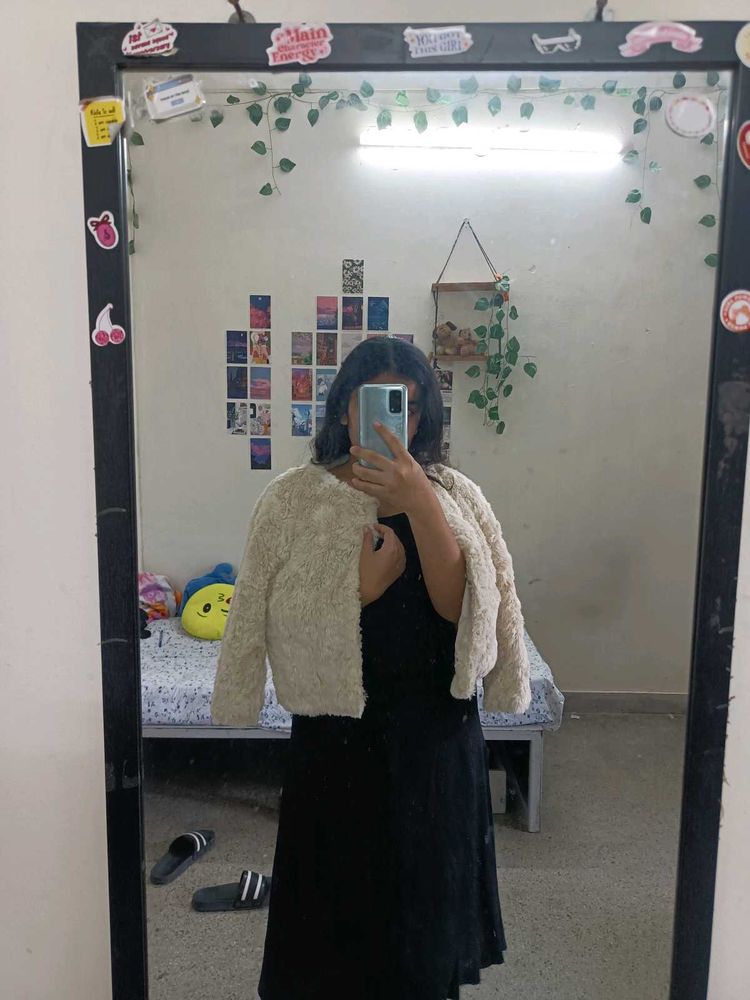 elegant fur coat