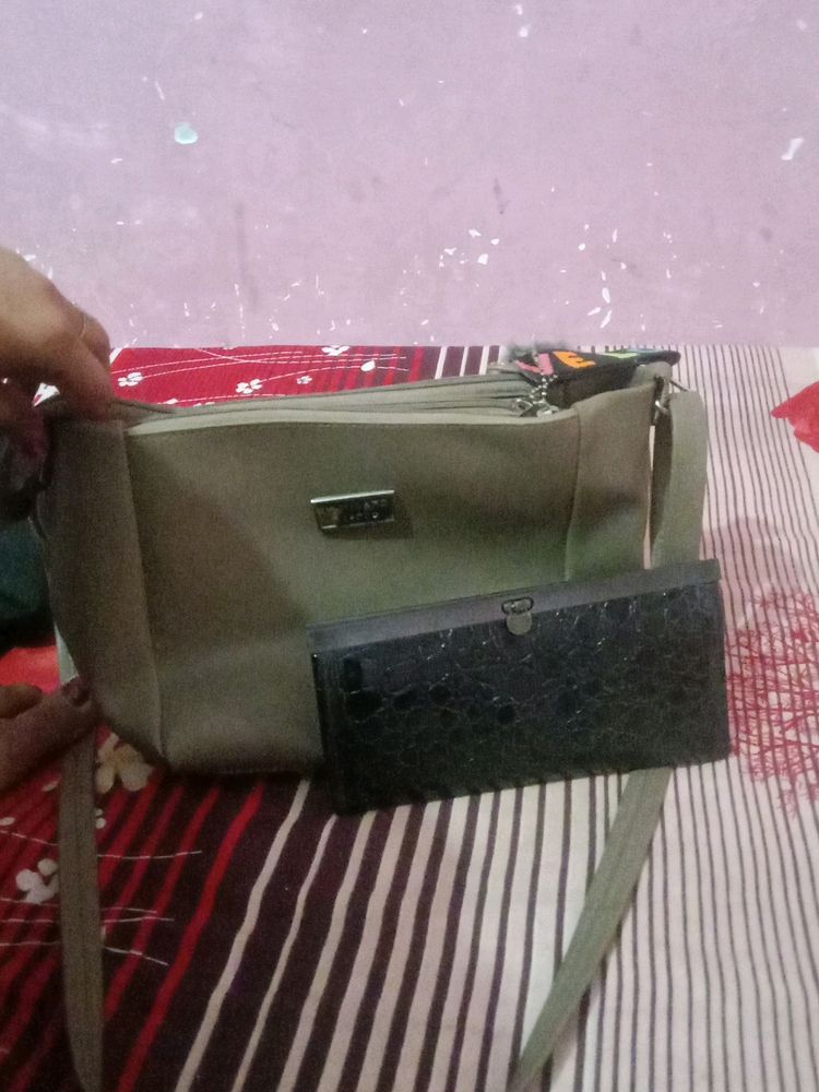 Combo Set Of Ladies Hand Bag