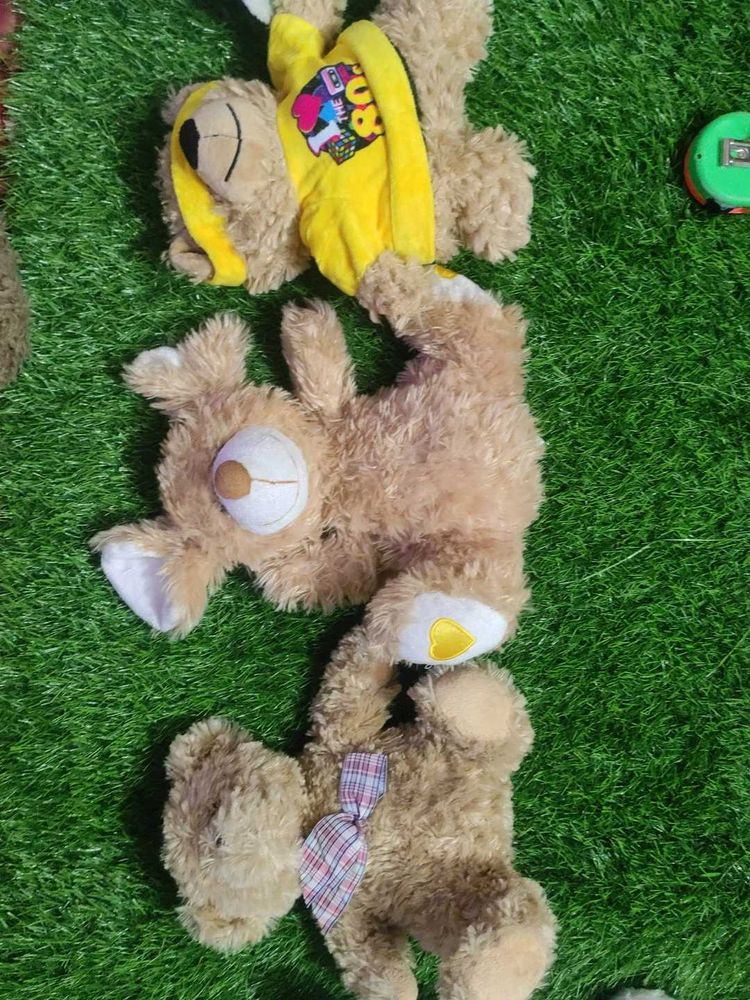 Teddy Combo