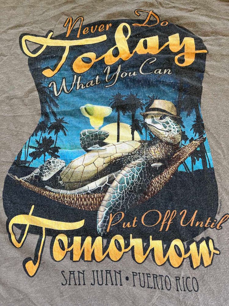 San Juan Turtle Graphic Tee