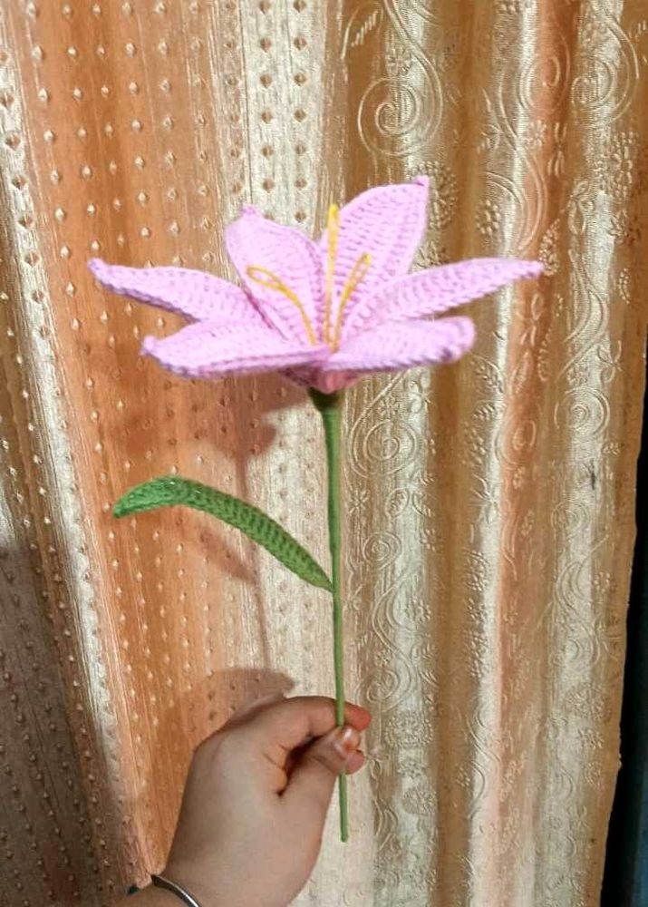 Lily Flower