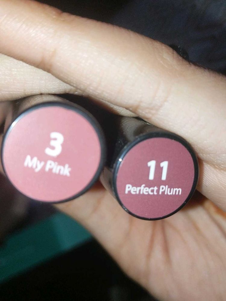 Lipstick Duo: Pink &amp; Plum