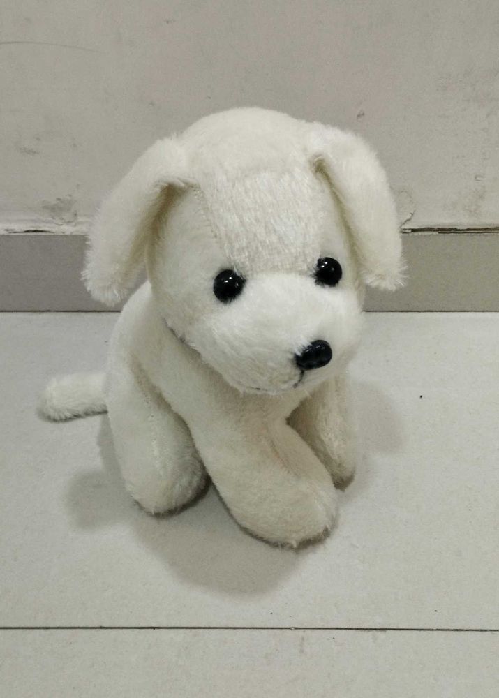 White Puppy