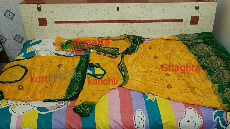Traditional Rajasthani/ Rajputi Poshak Dress
