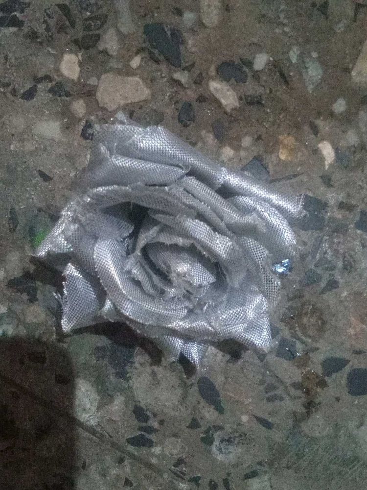 Rose Silver Hair Clip