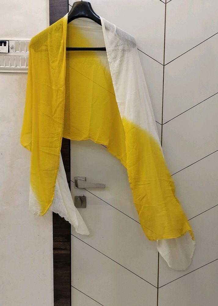 Yellow White Beautiful Plan 2 Shaded Dupatta Light